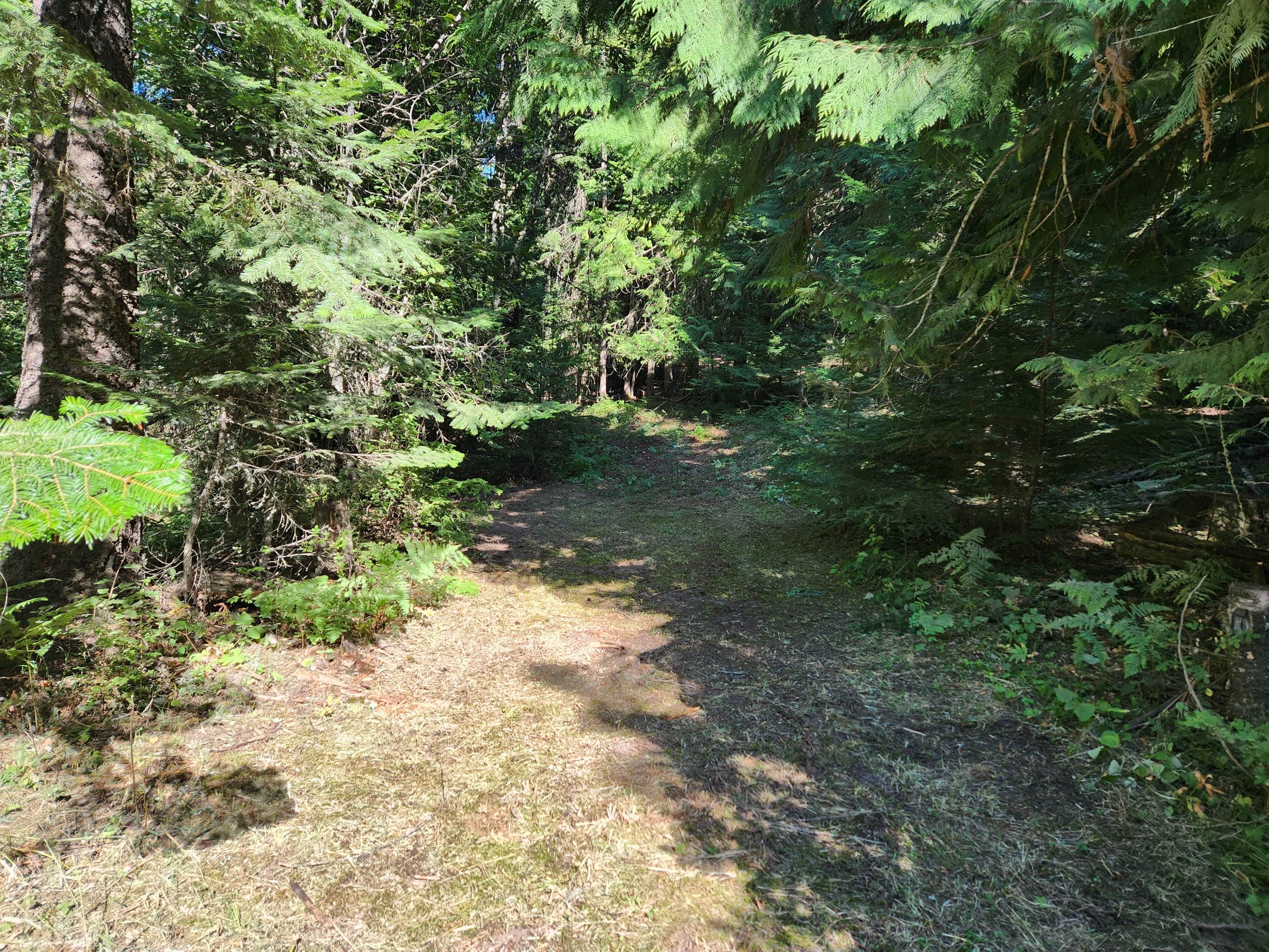 Extraordinary Camping 🏕