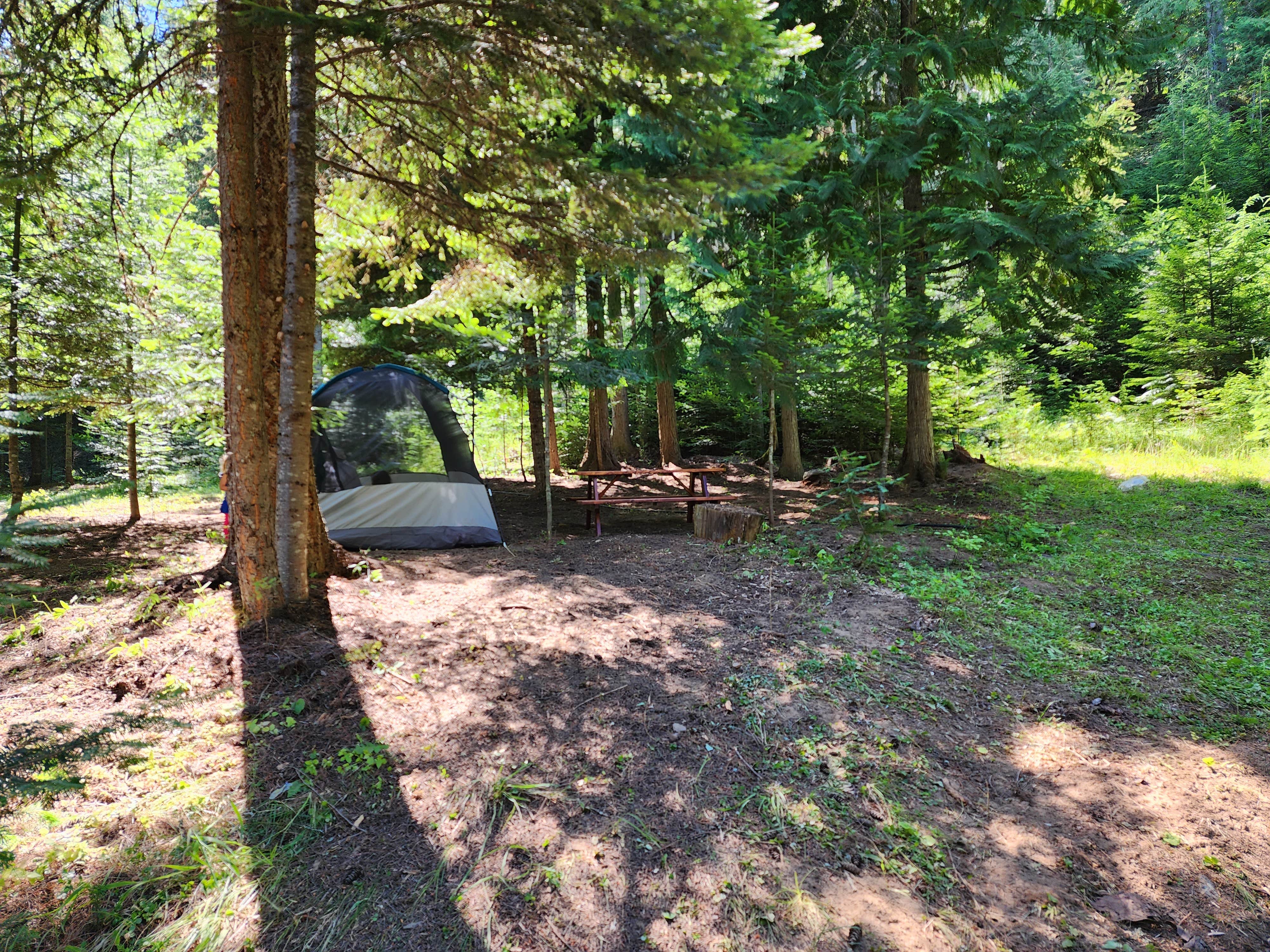 Viktoriya V.'s photo at Extraordinary Camping 🏕 near St. Maries, ID