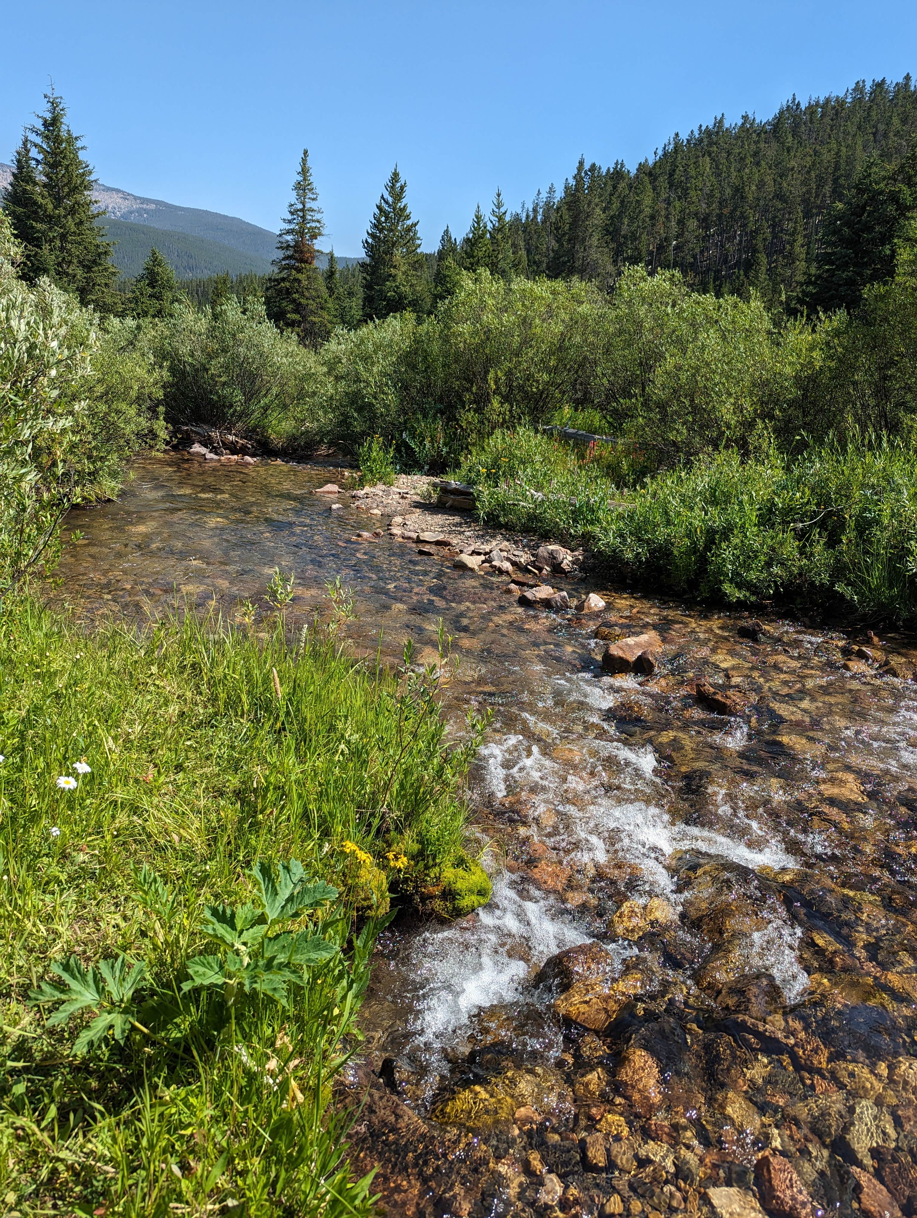 Camper-submitted photo at Many Pines Campground near Stanford, MT