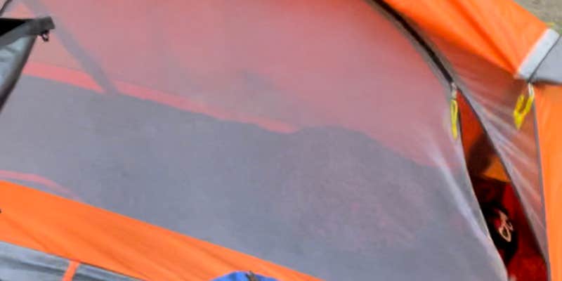 Camper submitted image from Bluffwoods Conservation Area