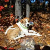 Review photo of Umbagog Lake State Park Campground by John L., October 25, 2018