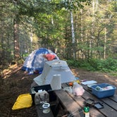 Review photo of Ninemile Lake Campground by Amelia M., July 28, 2023