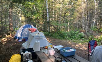 Amelia M.'s photo at Ninemile Lake Campground near Tofte, MN
