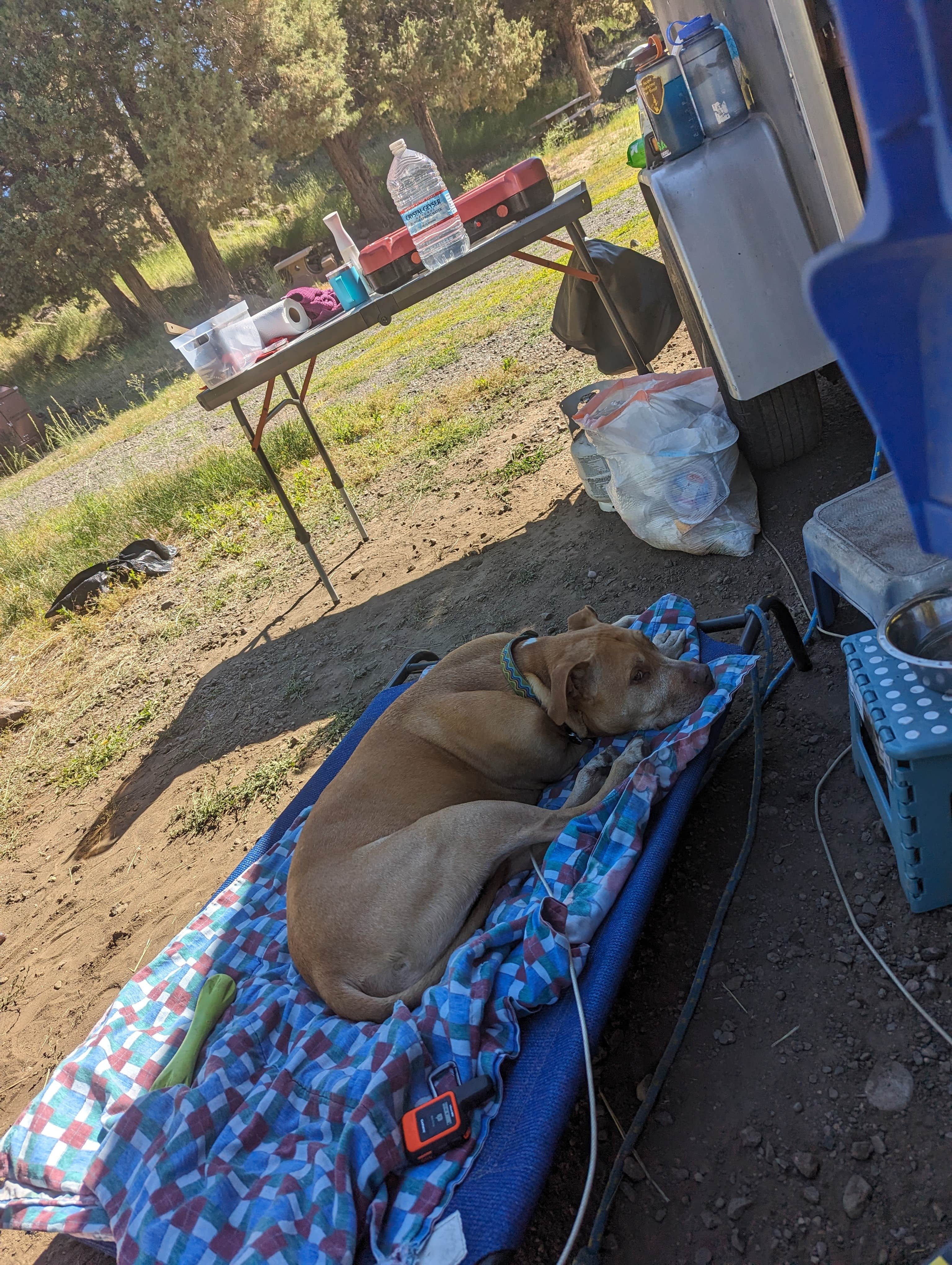Camper-submitted photo at Ramhorn Springs Campground near Gerlach, NV
