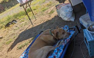 paul B.'s photo at Ramhorn Springs Campground near Susanville, CA