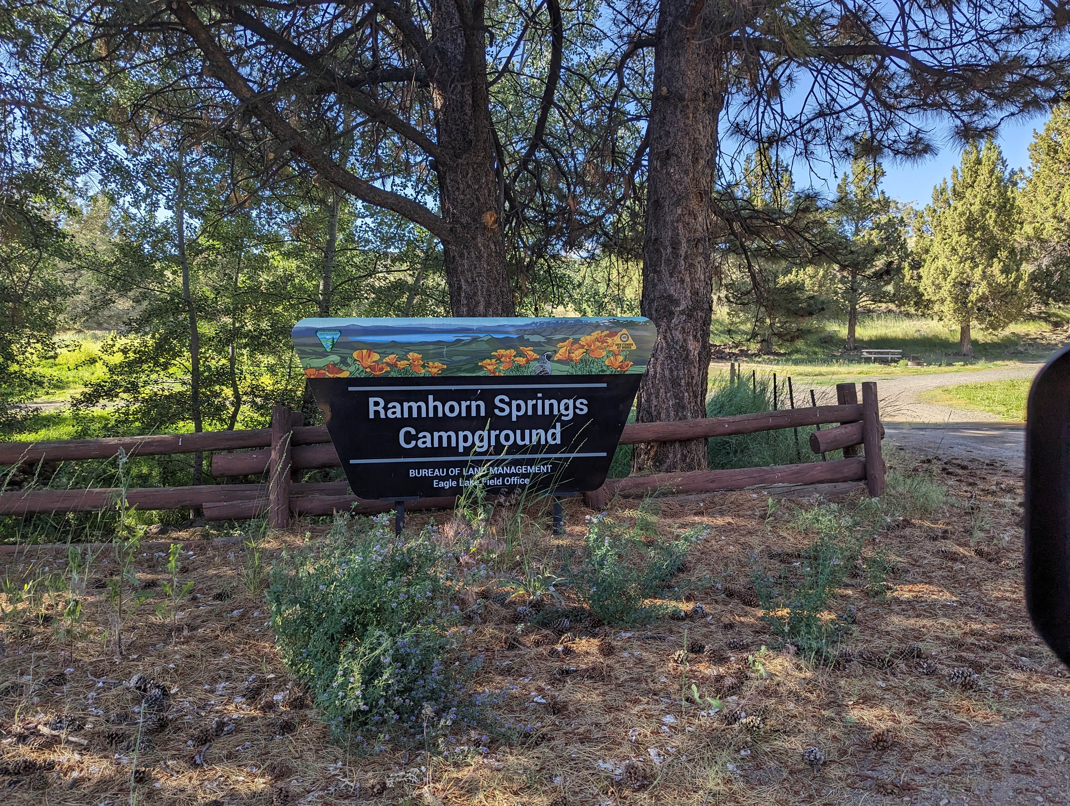 Camper submitted image from Ramhorn Springs Campground - 3