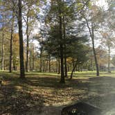 Review photo of Crabtree Falls Campground — Blue Ridge Parkway by Kelsey M., October 25, 2018