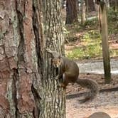 Review photo of Franklin D Roosevelt State Park Campground by Pam & Steve S., July 28, 2023