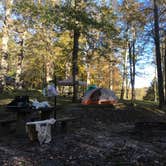 Review photo of Crabtree Falls Campground — Blue Ridge Parkway by Kelsey M., October 25, 2018