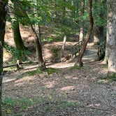 Review photo of Franklin D Roosevelt State Park Campground by Pam & Steve S., July 28, 2023