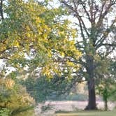 Review photo of Sangchris Lake State Park Campground by JASON L., July 28, 2023