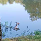 Review photo of Sangchris Lake State Park Campground by JASON L., July 28, 2023