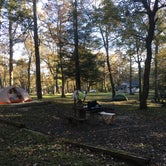 Review photo of Crabtree Falls Campground — Blue Ridge Parkway by Kelsey M., October 25, 2018