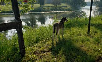 Ezzra V.'s photo of camping with pets at Ham Lake Resort near Golden Valley, MN