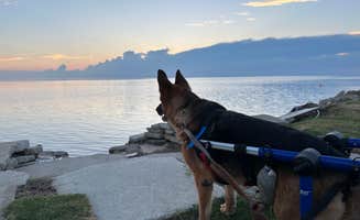 Raquel R.'s photo of camping with pets at St Clair Landing Family Campground near Nags Head, NC