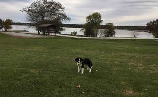 Emily G.'s photo of camping with pets at Thomas Hill Reservoir Conservation Area near Laclede, MO