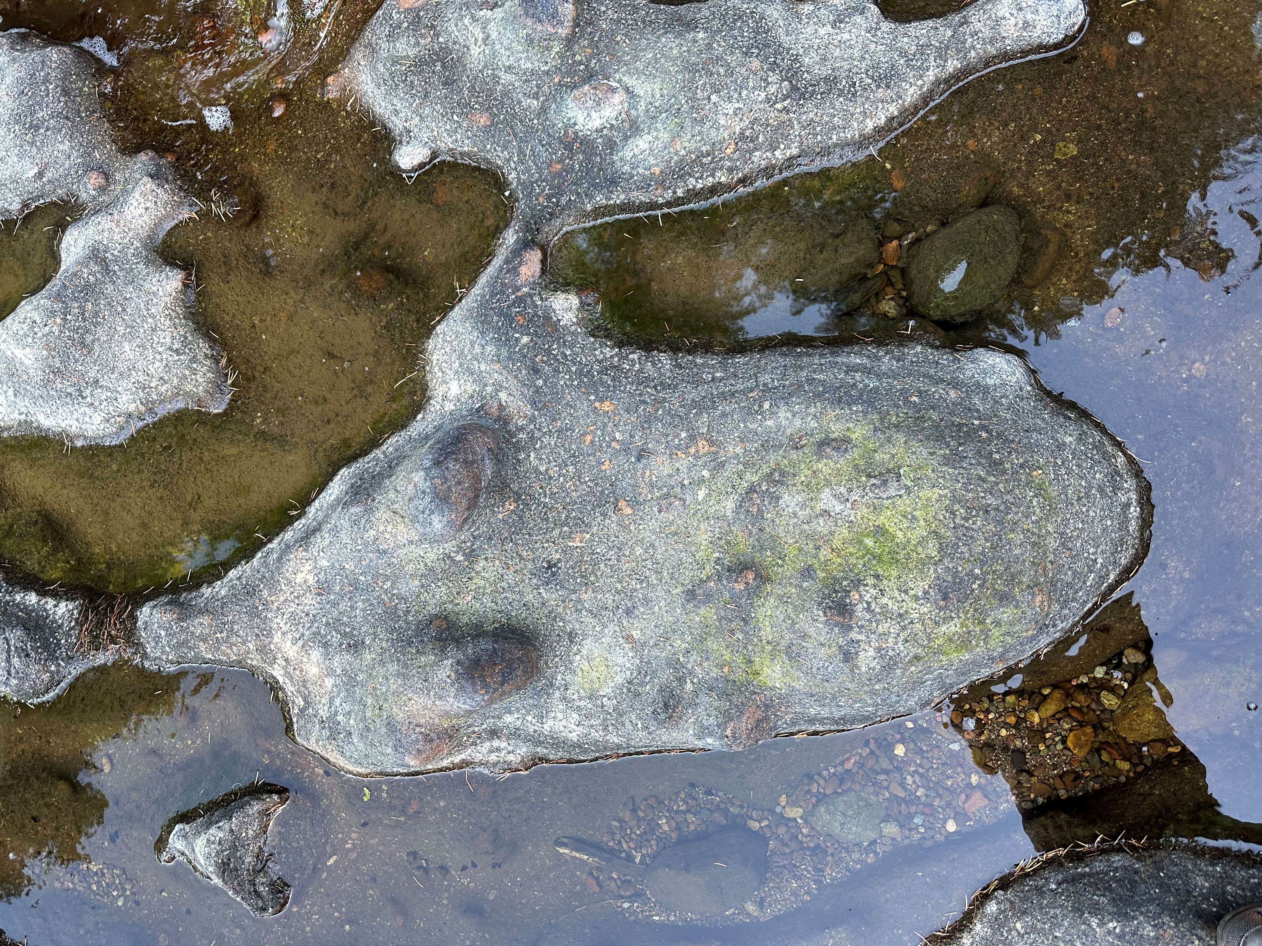 Camper-submitted photo at Sharps Creek near Dorena, OR