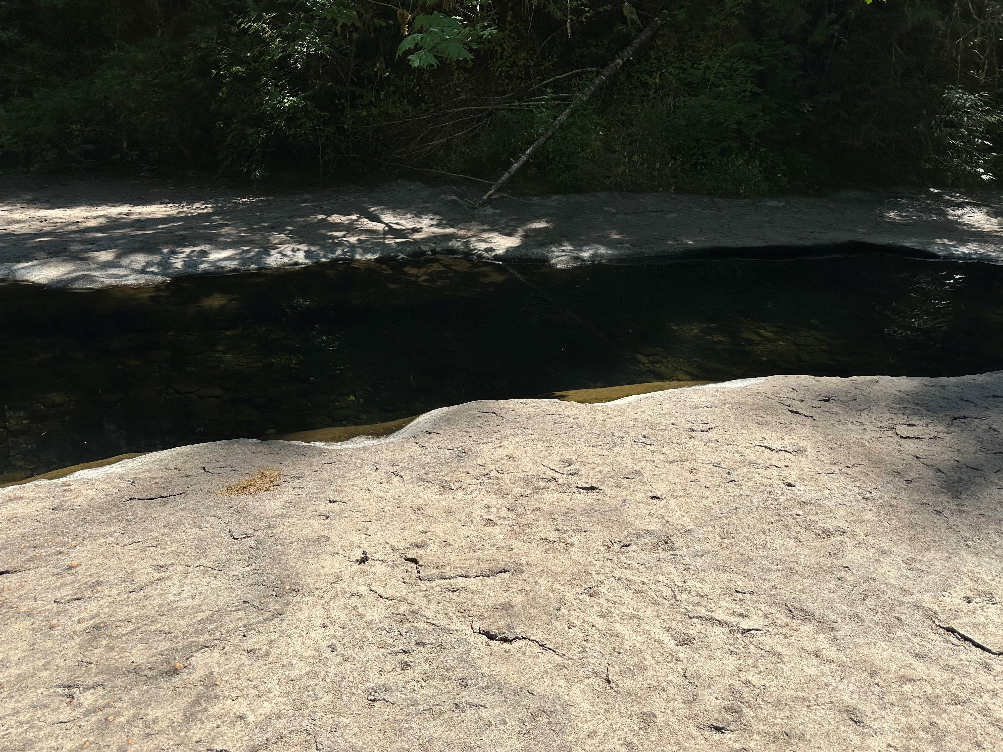 Camper-submitted photo at Sharps Creek near Dorena, OR