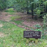 Review photo of Pilot Mountain State Park Campground — Pilot Mountain State Park by Joseph B., July 28, 2023