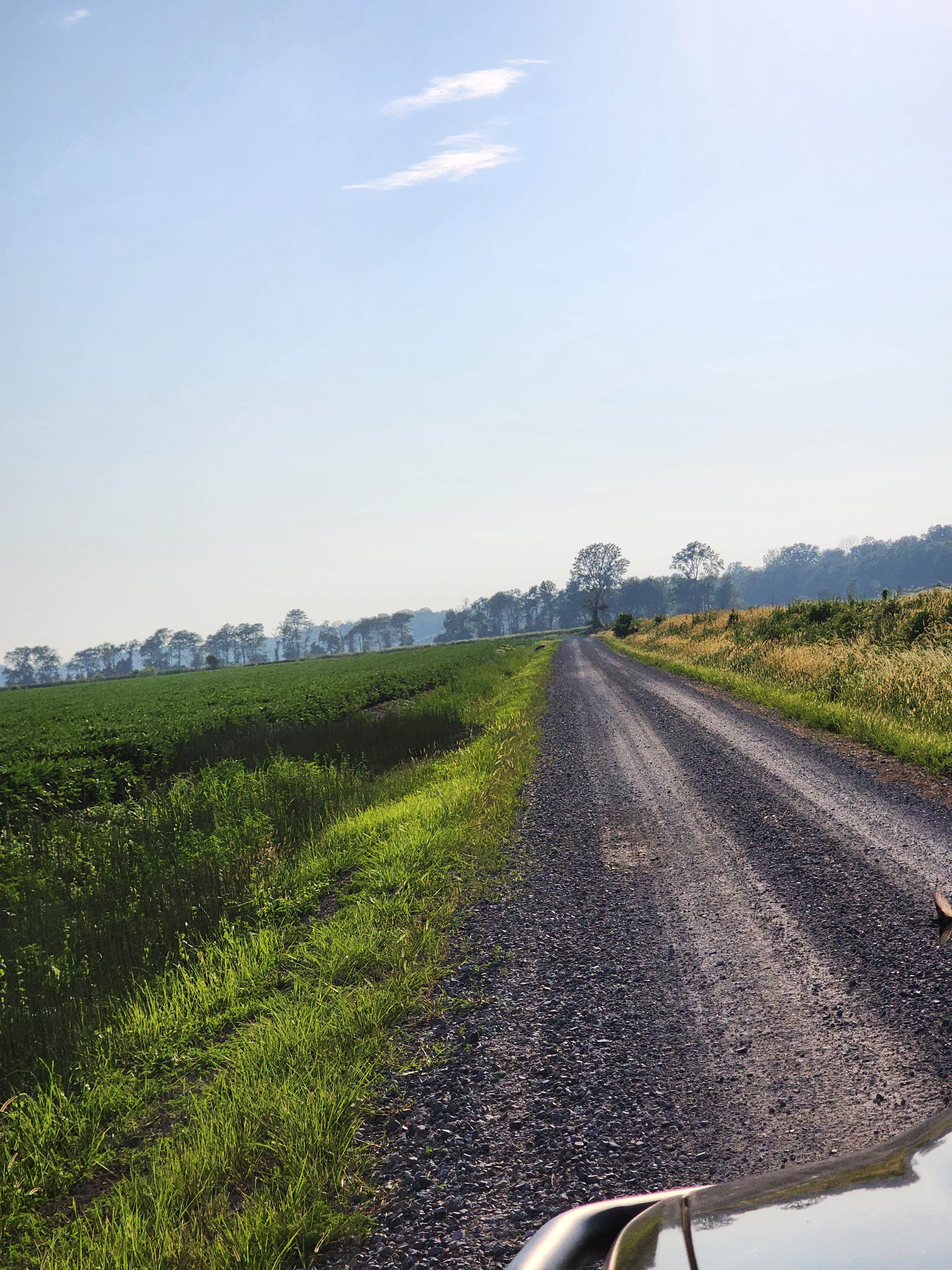 Camper-submitted photo at Riverview MDC Donaldson Point near New Madrid, MO