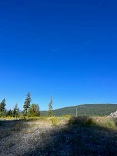 Emma B.'s photo of a dispersed camping area at Mount Hood National Forest - NF 2656 -Dispersed Camping near The Dalles, OR
