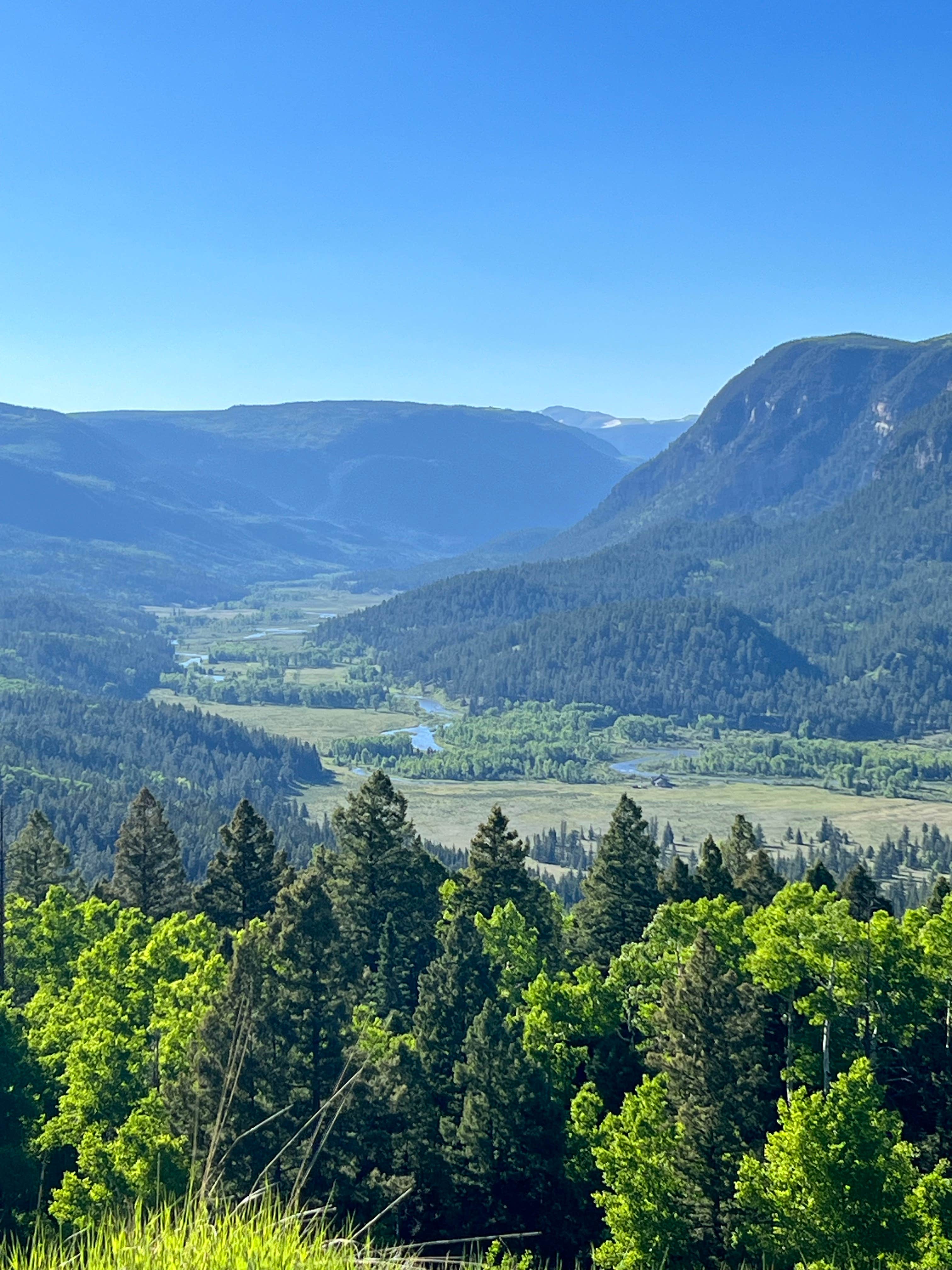 Camper submitted image from Elk Creek Campground (rio Grande Nf) - 1