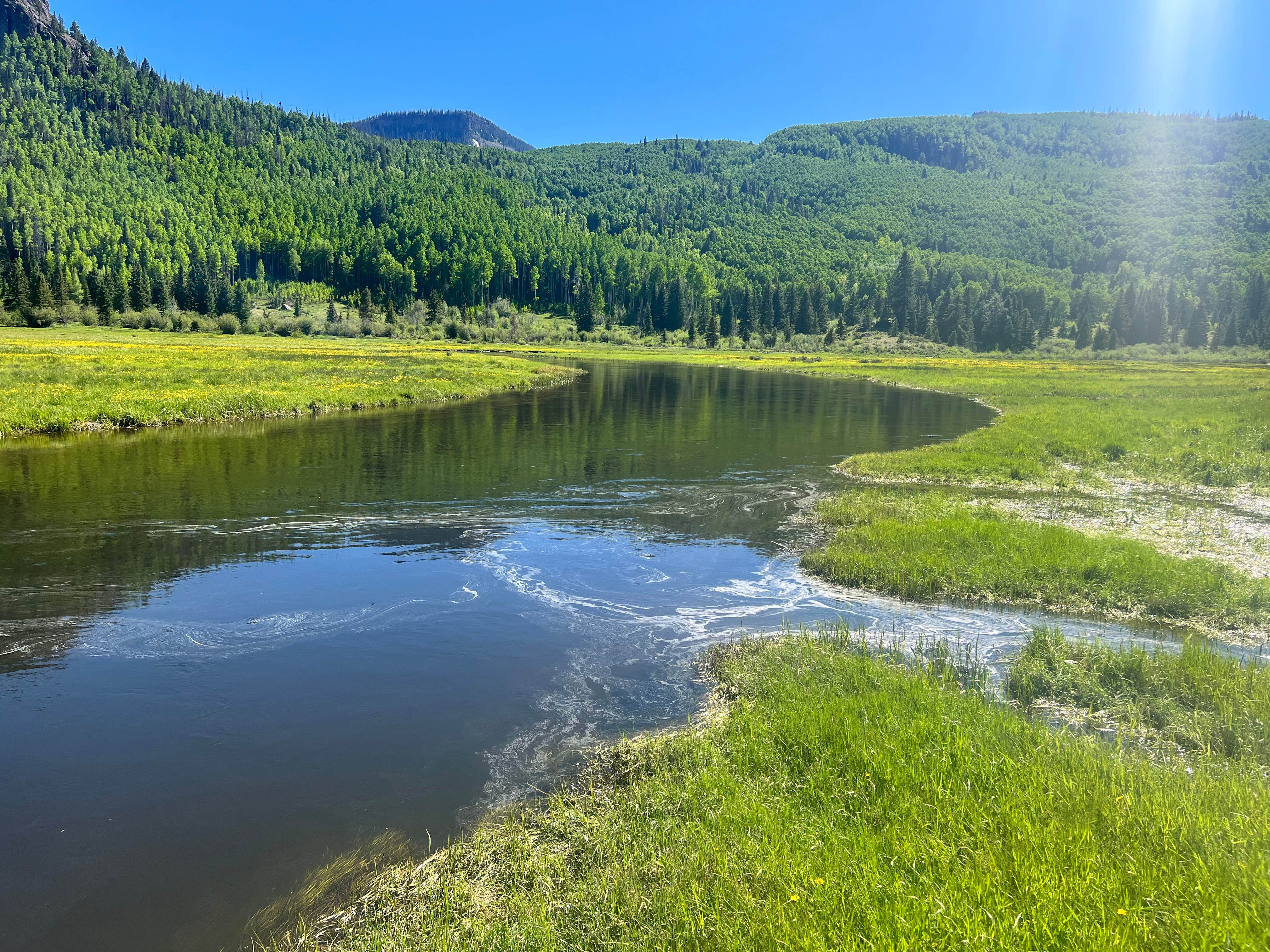 Camper-submitted photo at Elk Creek Campground (rio Grande Nf) near Antonito, CO