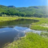 Review photo of Elk Creek Campground (rio Grande Nf) by kyle K., July 29, 2023