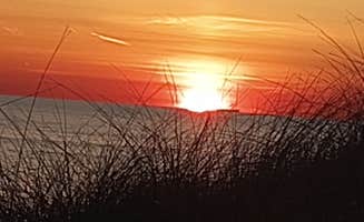Sara W.'s photo of a dispersed camping area at Green Road Dispersed - Manistee NF near Buckley, MI
