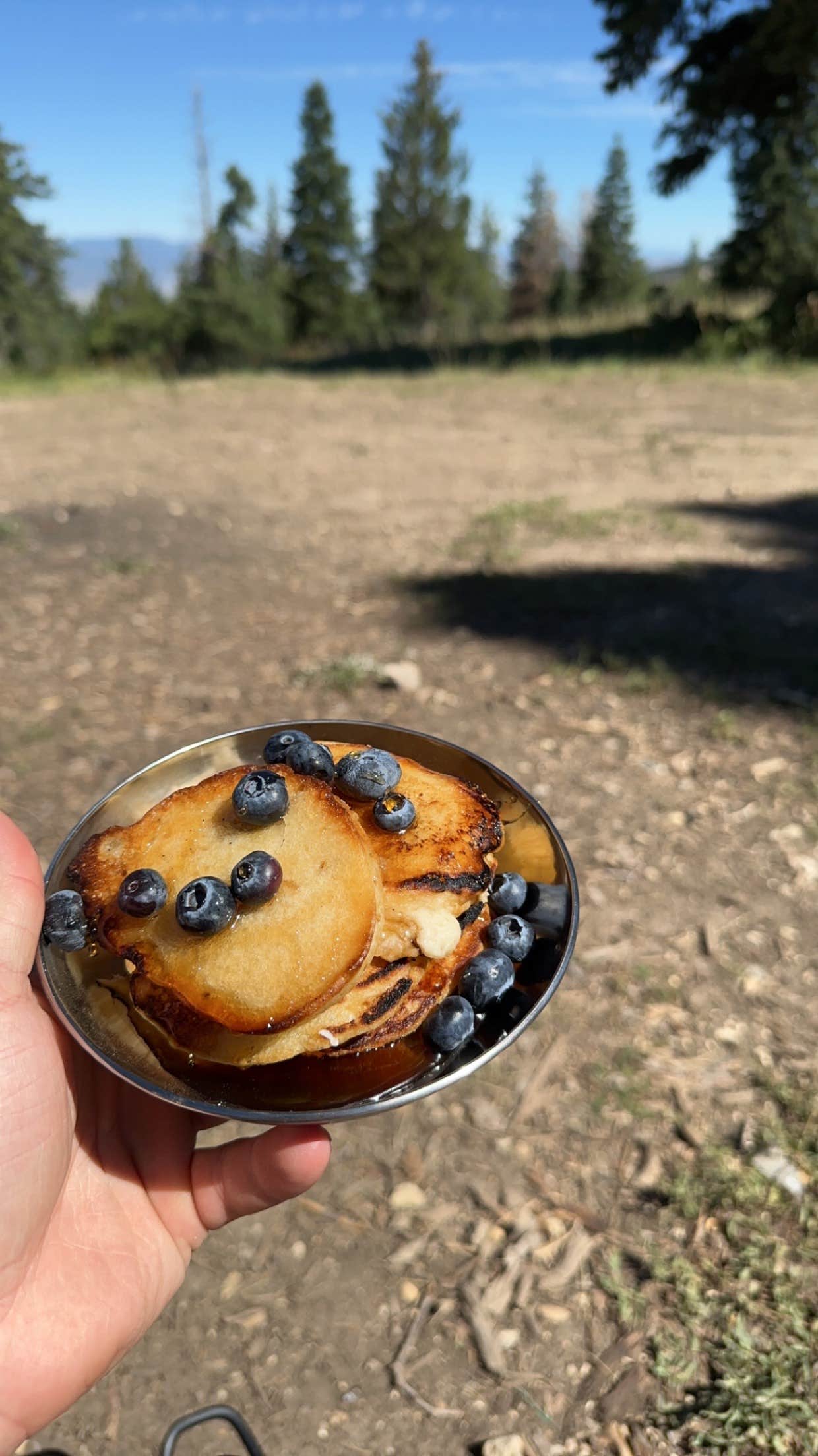 Camper-submitted photo at Willow Creek Road - Dispersed Site near Emery, UT