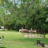 Review photo of Lake of Three Fires State Park Campground by Kimberly  W., October 25, 2018