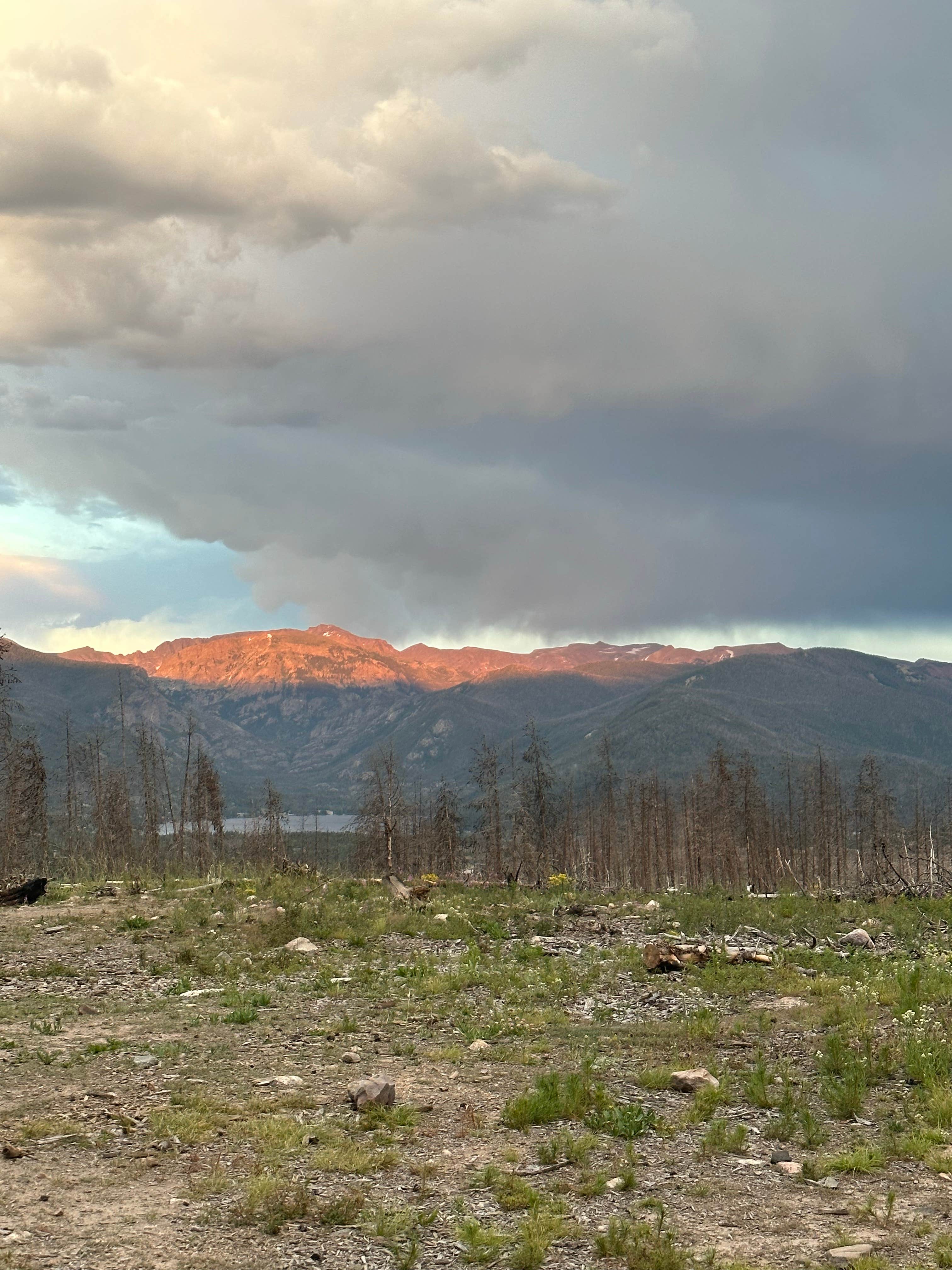 Maghan M.'s photo of a dispersed camping area at NFSR 120 Dispersed Site - Arapaho National Forest near Grand Lake, CO