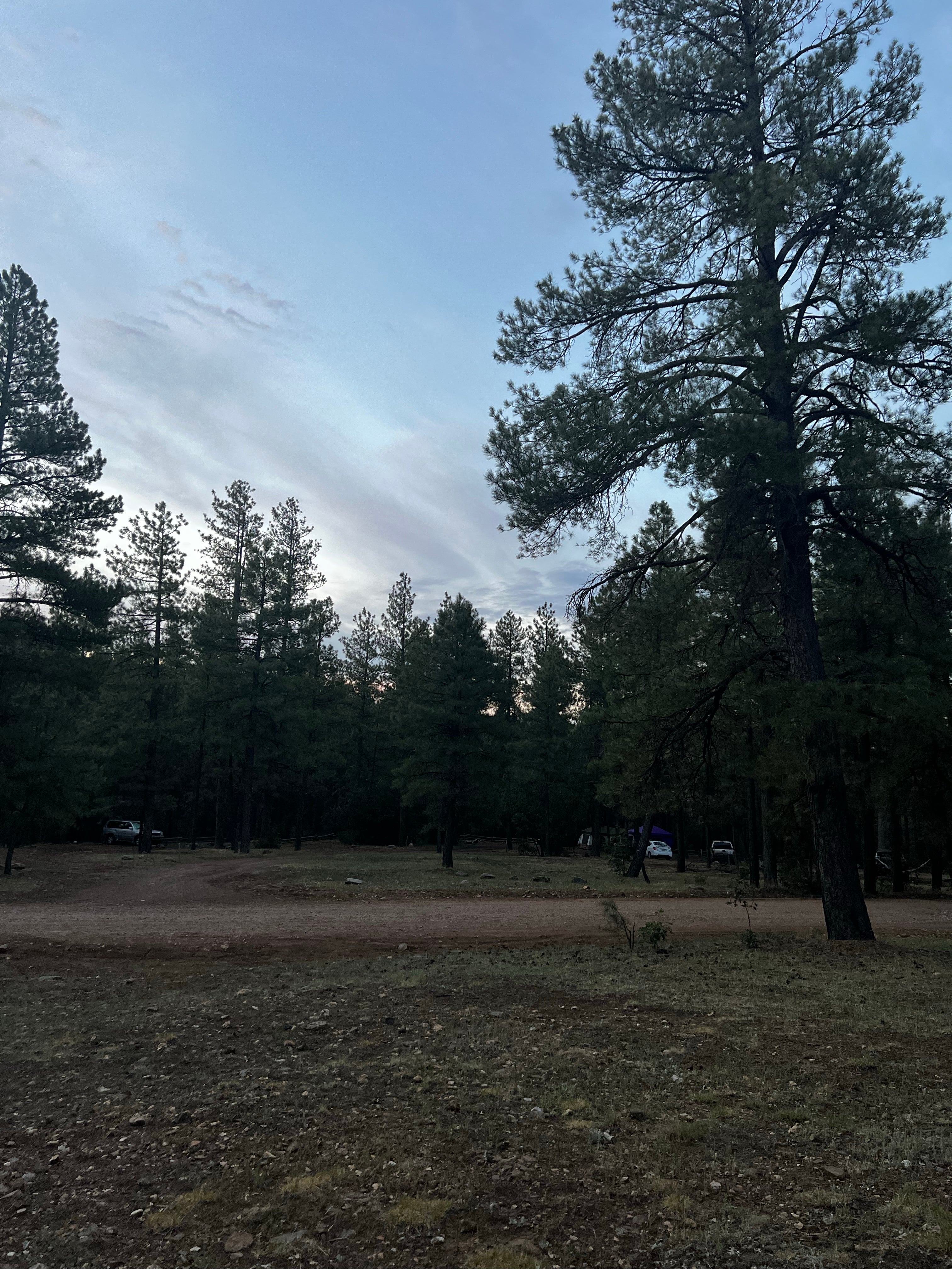 Camper submitted image from Pumphouse Wash - 3