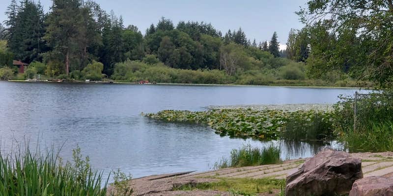 Camper submitted image from Woodlands at Lake Stickney