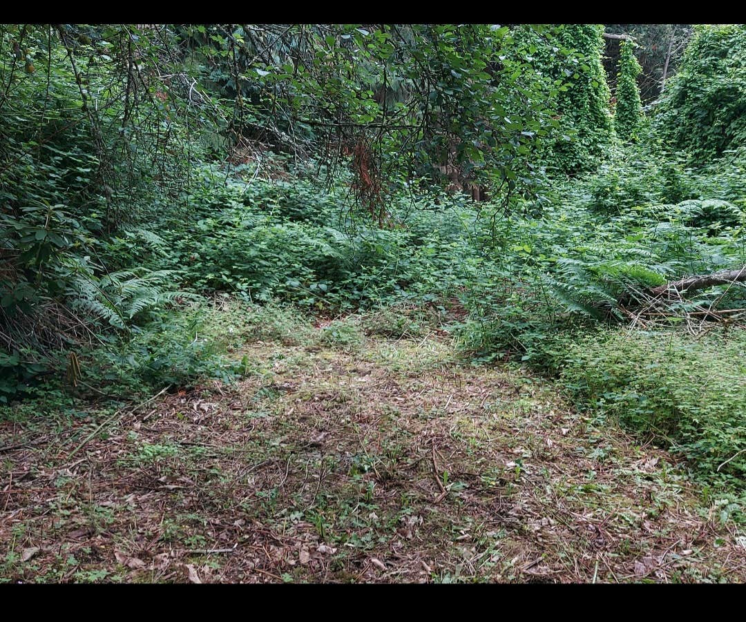 Camper-submitted photo at Woodlands at Lake Stickney near Everett, WA