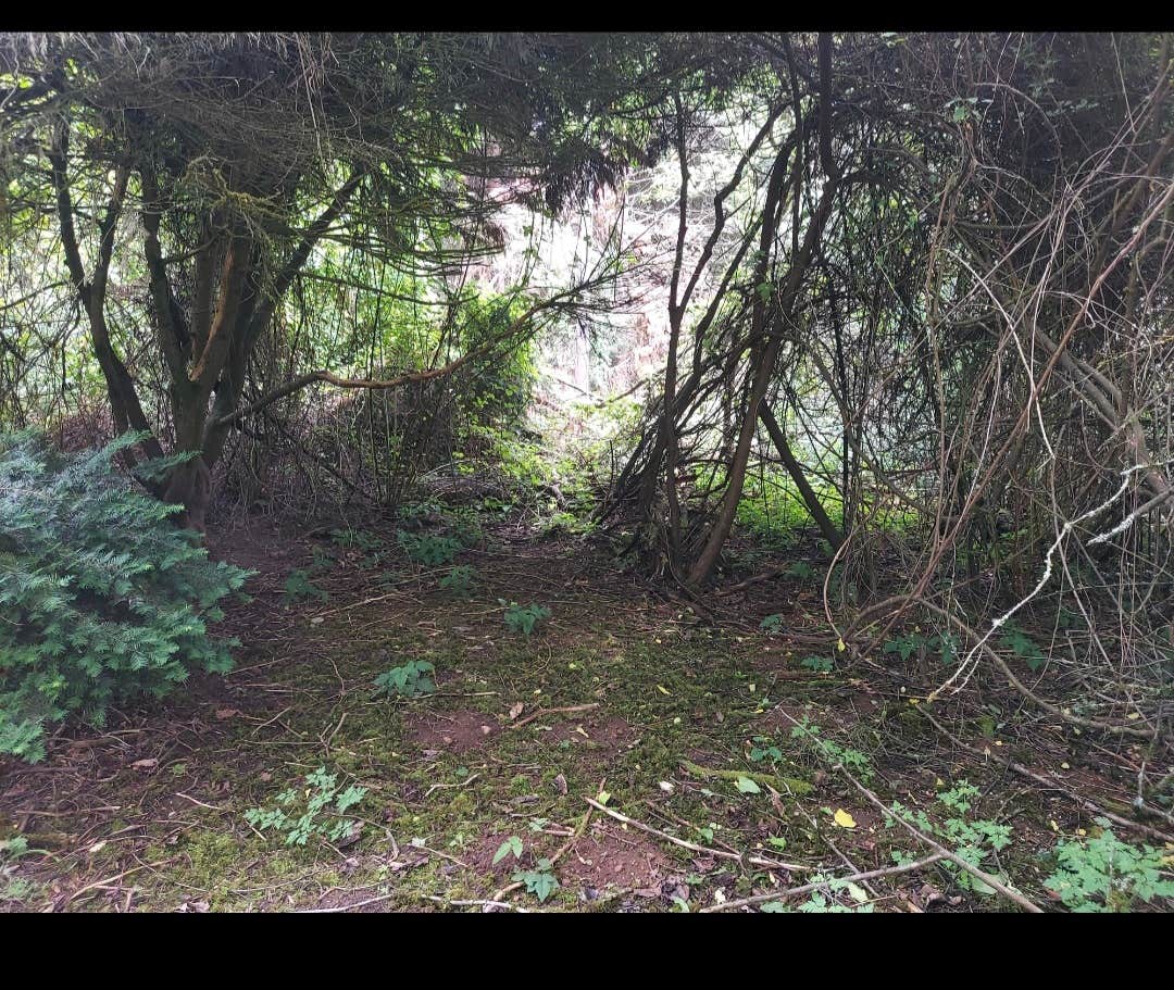 Camper-submitted photo at Woodlands at Lake Stickney near Everett, WA