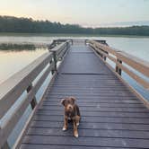 Review photo of Pinewoods Lake Rec Area — Mark Twain National Forest by Ozzie L., July 29, 2023