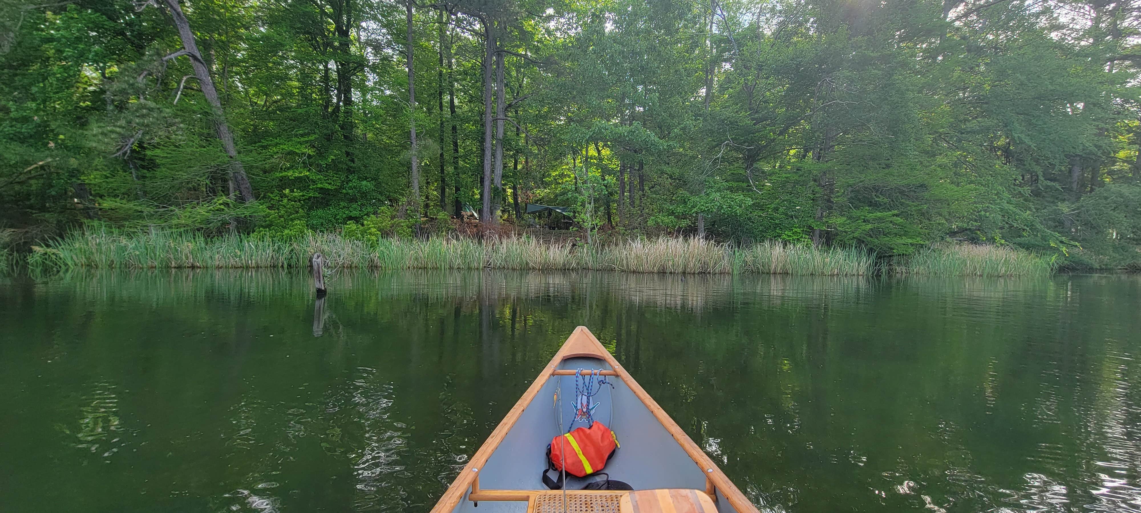 Camper submitted image from Valentine Lake South Shore - 3