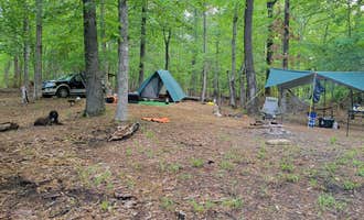 Camping near Valentine Lake Recreation Complex, Camping/day Use: Valentine Lake South Shore, Gardner, Louisiana