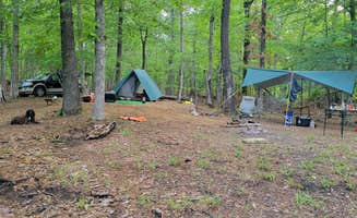 Keith R.'s photo of tent camping at Valentine Lake South Shore in Louisiana