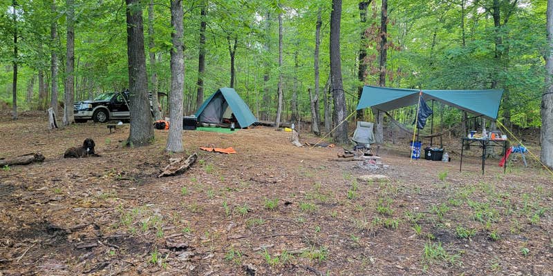 Camper submitted image from Valentine Lake South Shore