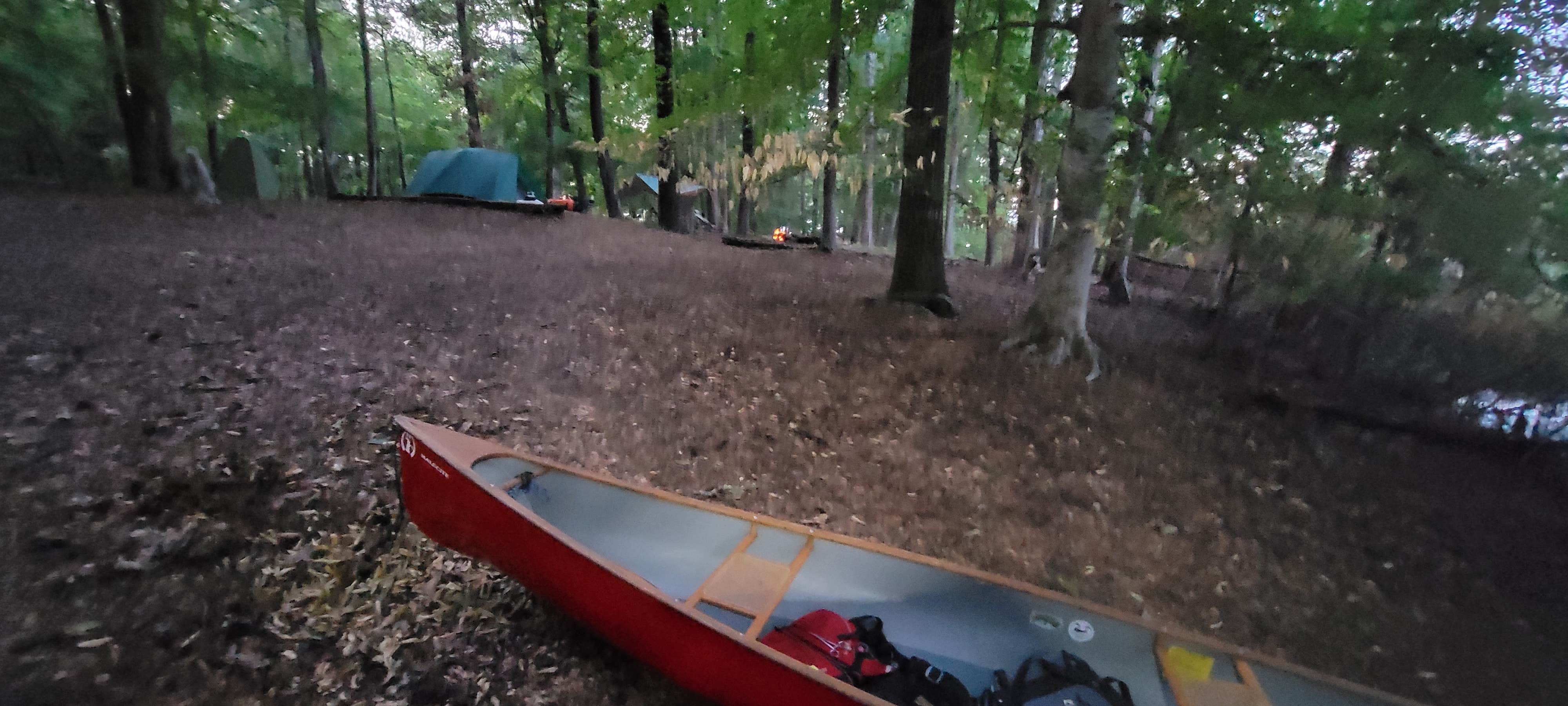 Camper-submitted photo at Valentine Lake South Shore near Lecompte, LA