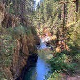 Review photo of Ohanapecosh Campground — Mount Rainier National Park by K. K., July 29, 2023