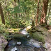 Review photo of Ohanapecosh Campground — Mount Rainier National Park by K. K., July 29, 2023