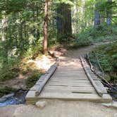 Review photo of Ohanapecosh Campground — Mount Rainier National Park by K. K., July 29, 2023