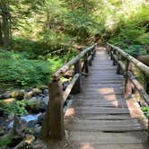 Review photo of Ohanapecosh Campground — Mount Rainier National Park by K. K., July 29, 2023