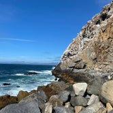 Review photo of Islay Creek Campground — Montaña de Oro State Park by averee , July 29, 2023