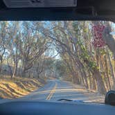 Review photo of Montaña de Oro State Park by averee , July 29, 2023