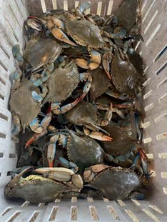 Camper-submitted photo at Miles Away Properties LLC near Hoover, AL