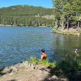 Review photo of Sheridan Lake South Shore Campground by Darcy S., July 29, 2023